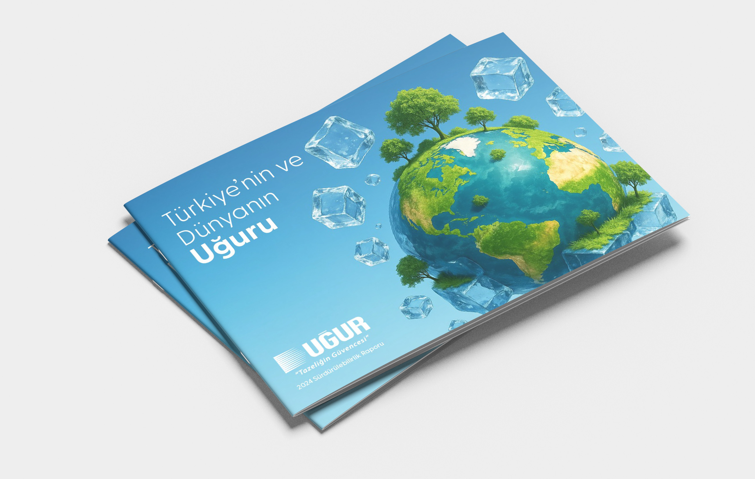 2024 Sürdürülebilirlik Raporu